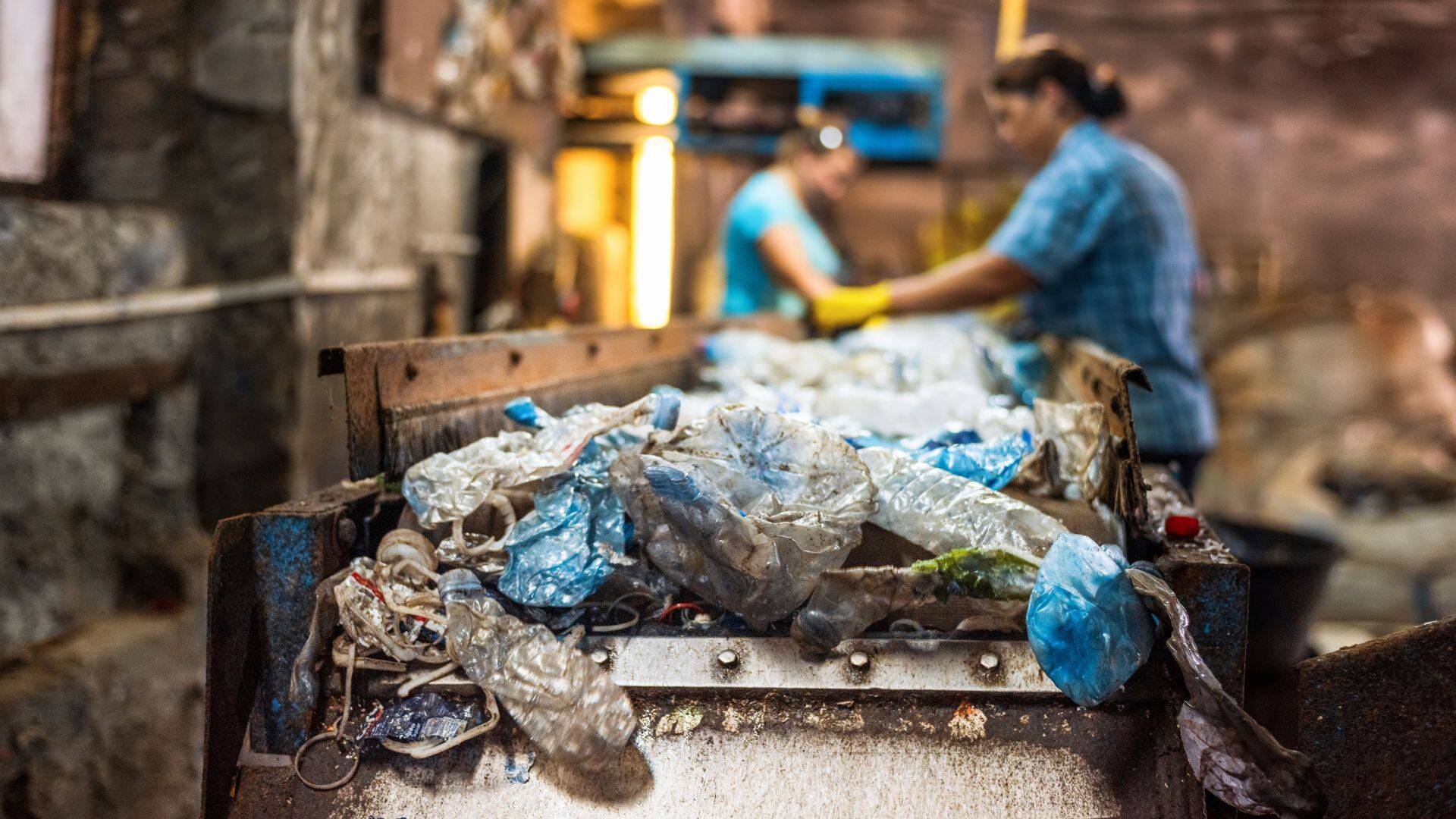 Reciclare deșeuri în Ilfov: ce nu vezi, dar te afectează