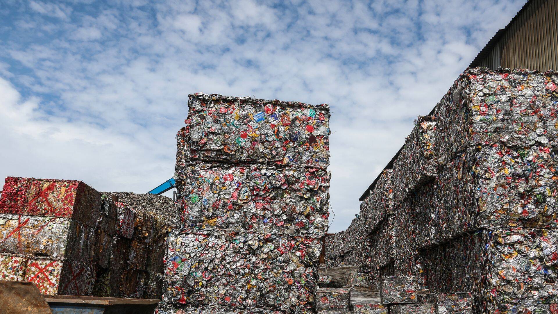 Reciclare deșeuri, cum protejezi mediul și economisești bani